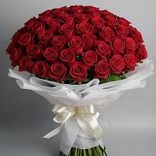 Букет 101 Красная роза Блэк Мэджик в Калангуй