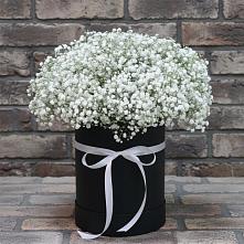 Цветочная композиция из Гипсофила в шляпной коробке в Калангуй