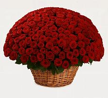 Премиум букет из: Розы в Калангуй