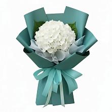 Букет цветов из:  Гортензия #REPLACE_PRED# Калангуй